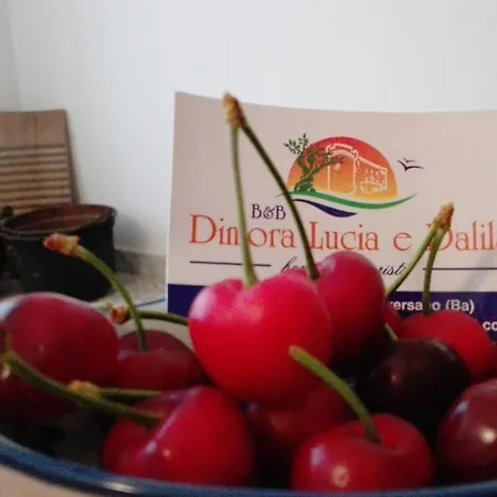 Dimora Lucia E Dalila B&B 콘베르사노