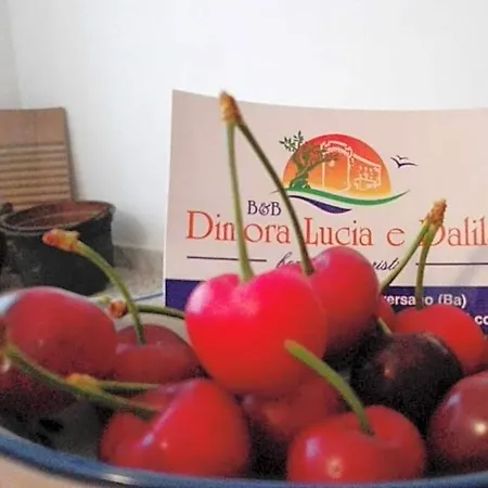 Dimora Lucia E Dalila Nocleg ze śniadaniem Conversano