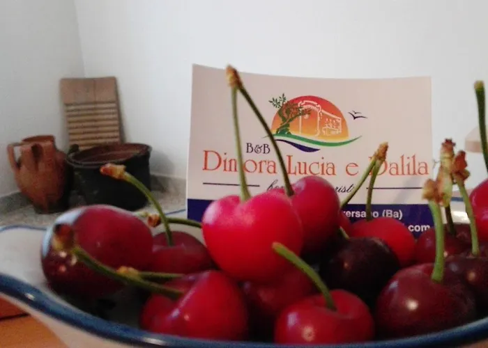 Dimora Lucia E Dalila Bed & Breakfast Conversano